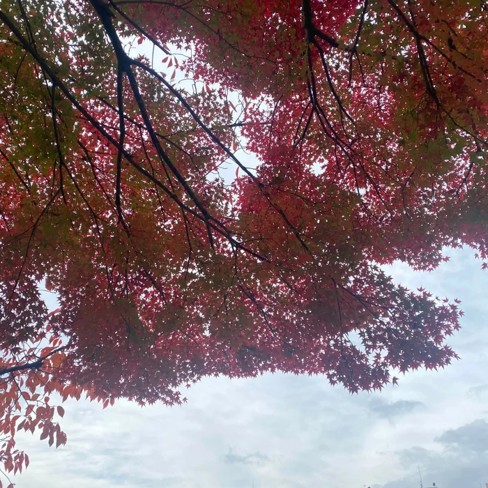 画像269