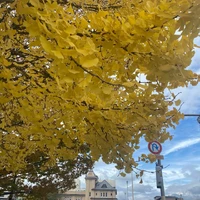 画像270