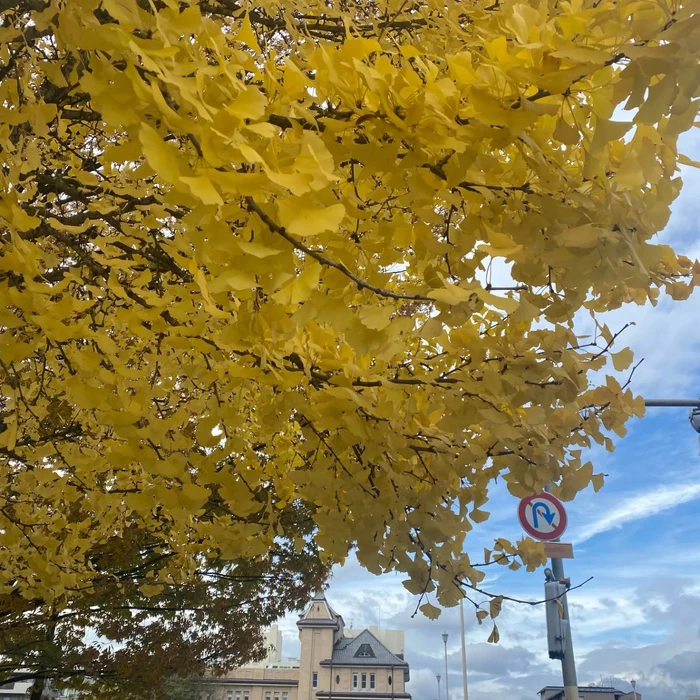 画像270