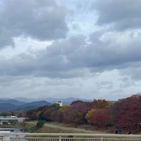 画像271