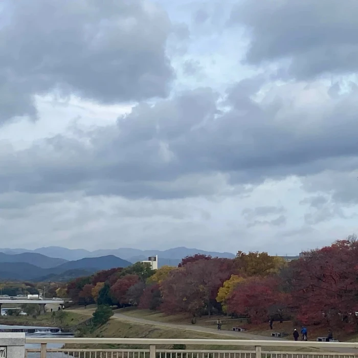 画像271