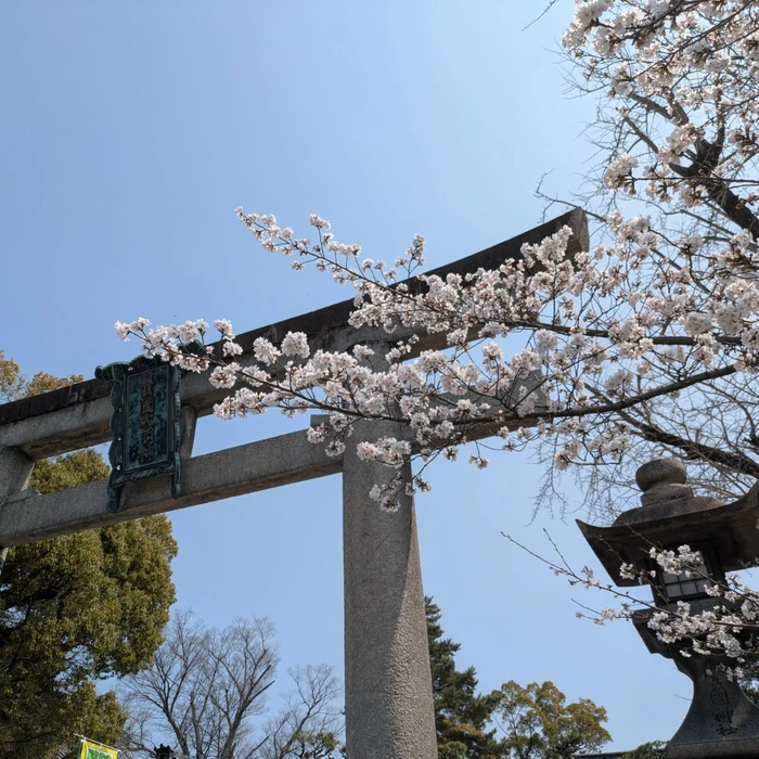 画像327