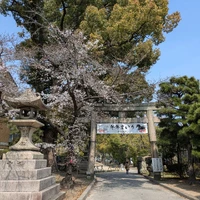 画像328