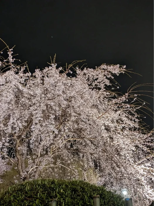画像338