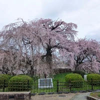 画像340