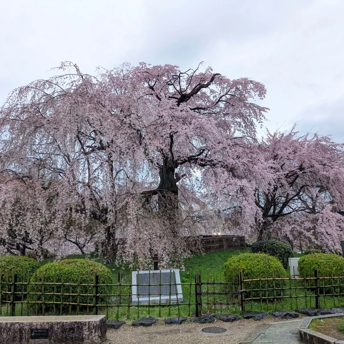 画像340