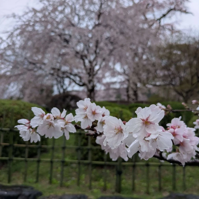 画像341