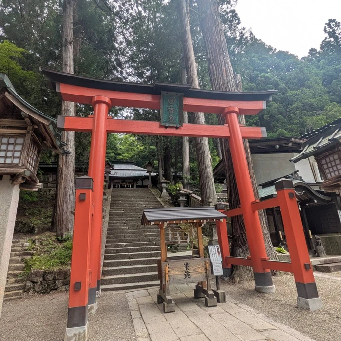 画像375