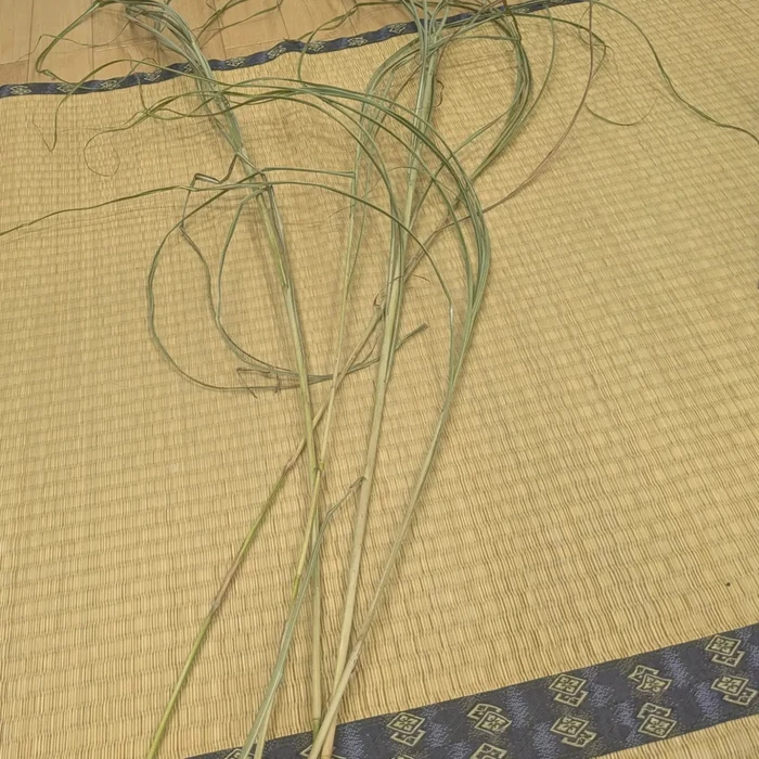 画像385