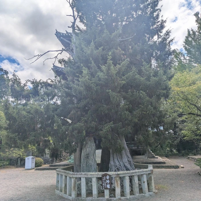 画像394