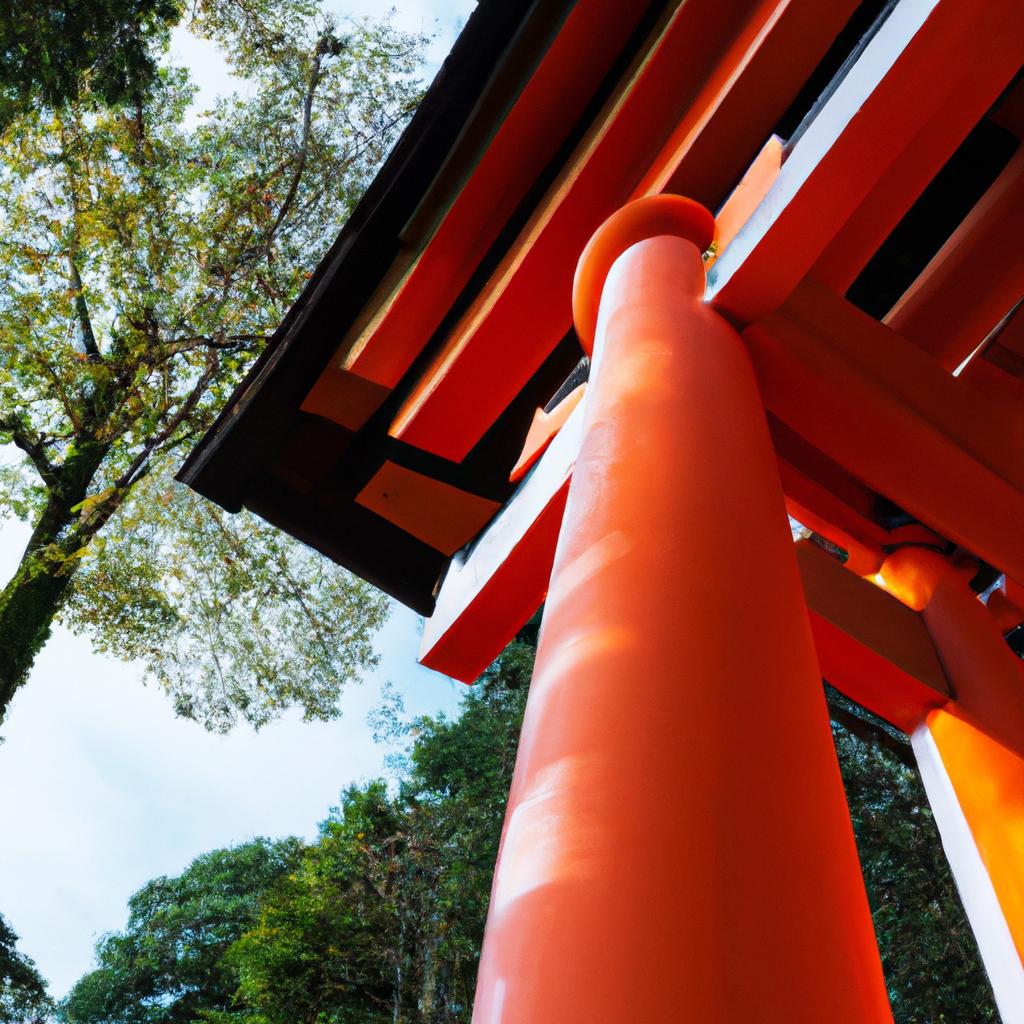 京都観光との組み合わせ